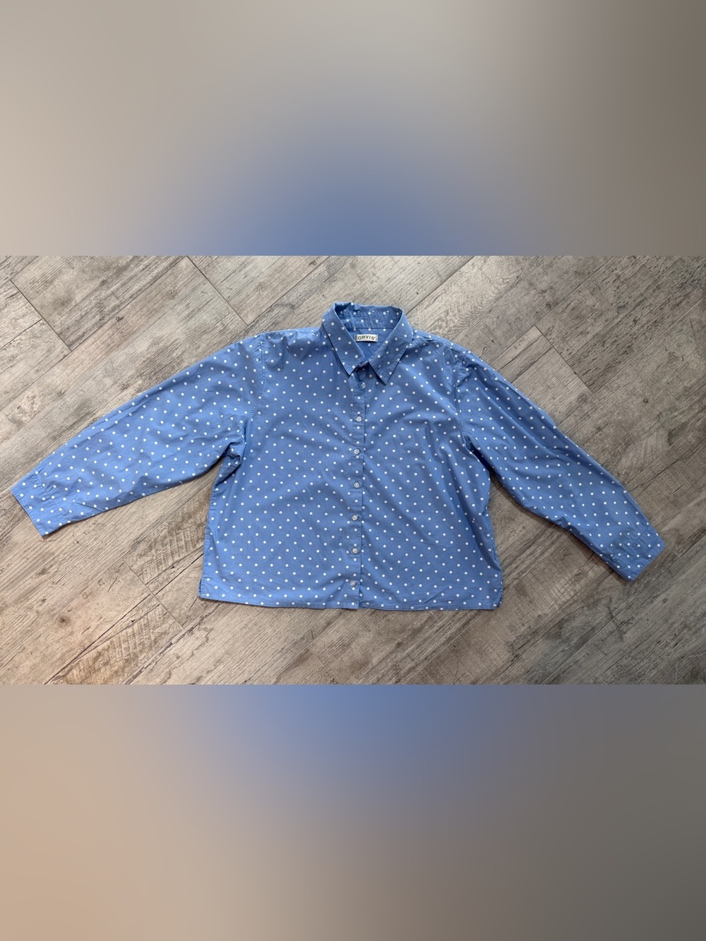Orvis Cottagecore Boxy Light Blue Polka Dot Long sleeve Button-Down Shirt
